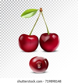 Vector realistic illustration of cherry. Colorful objects on a transparent background.