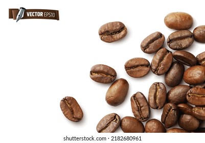 Vector realistic illustration of coffee beans on a white background.