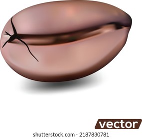 Ilustración vectorial realista de granos de café sobre fondo blanco.