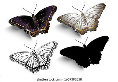 
Vector realistic illustration of a collection of beautiful butterflies. View from above.