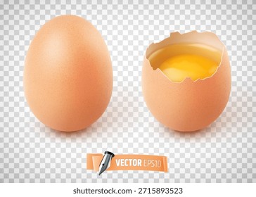 Vector ilustración realista de huevos sobre un fondo transparente.