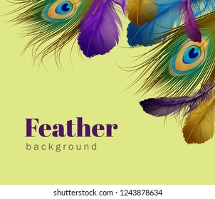 Vector realistic illustration of exotic colorful feathers template with space for text on light green background