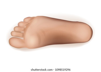 Vector Realistic Illustration Of A Foot Of Feet On A White Background. 