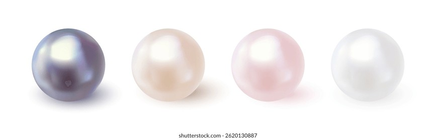 Ilustração realista vetorial de quatro pérolas brilhantes em preto, creme, rosa e branco em um fundo branco. Perfeito para projetos de luxo, joias, moda ou de beleza