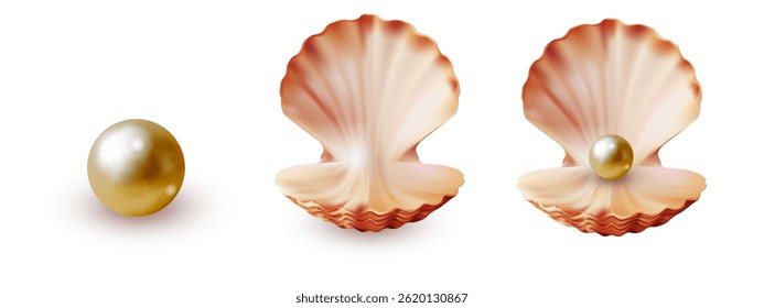 Ilustração realista vetorial de uma pérola dourada e duas conchas abertas, uma vazia e uma segurando a pérola, sobre um fundo branco. Ideal para joias, marinha ou design com tema de luxo.