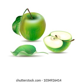 Vector realistic  illustration of green apple with leaves and the cut apple  on the white background.  Design for juice, tea,  cosmetics, menu, healthcare products. 
