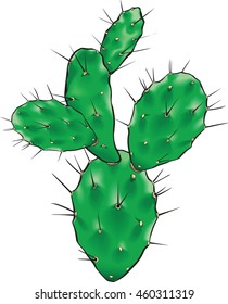Vector realistic illustration of green large cactus with sharp needles.
