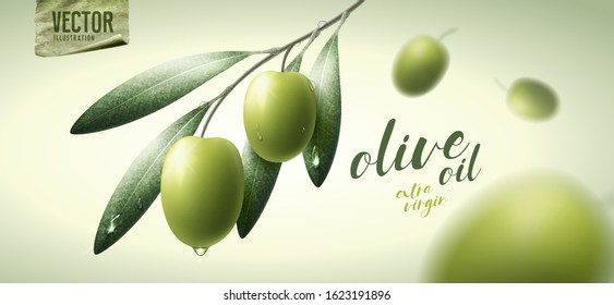 Vector realistic illustration. Green olives, leaves and paper icon.