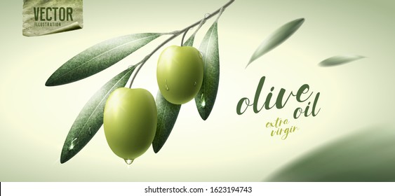 Vector realistic illustration. Green olives, leaves and paper icon.