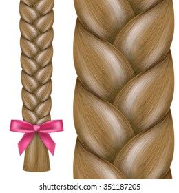 Vector realistic illustration of hair braid