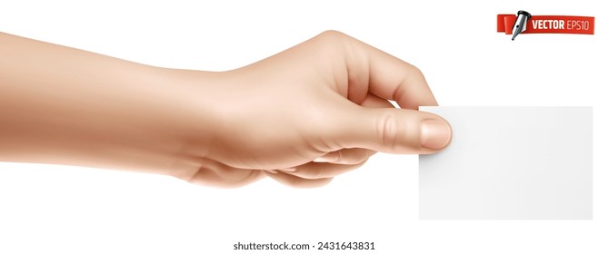 Vector realistic illustration of a hand holding a blank business card on a white background.