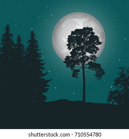 Vector realistic illustration of a haunting forest with grass under a green night sky with moon and stars