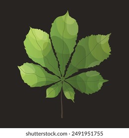 Vector realistic illustration of horse chestnut leaf isolated on background. Botanical illustration.