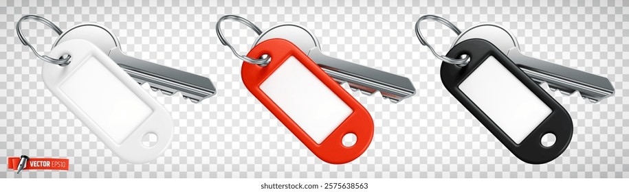 Vector realistic illustration of keys with empty labels on a transparent background.