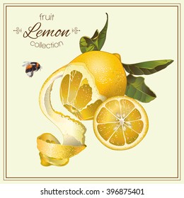 Vector realistic illustration of lemon with slice and bumblebee.  Isolated on light green background. Design for tea, juice, natural cosmetics, baking, candy and sweets filling, grocery.