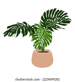 Vector realistic Illustration of Monstera Plant isolated on white background. Urban jungle, trendy home decor, indoor plant, tropical leaves in stylish modern pot. 