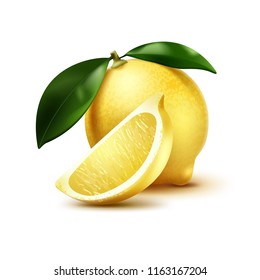 Vector realistic illustration of one whole lemon with leaves and cut half isolated on white background. Ripe juicy citrus