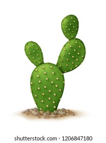 Vector realistic illustration of opuntia microdasys or Bunny ears cactus in ground isolated on white background