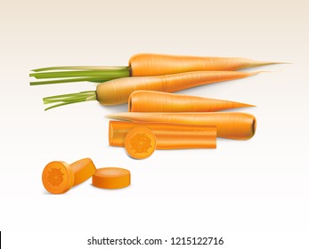 Vector realistic illustration of orange carrot, whole and sliced pieces isolated on background. Sweet vegetable rich in vitamins for cooking and eating, natural organic food for vegetarians