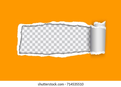 vector realistic illustration of orange torn paper with rolled edge on transparent background with frame for text
