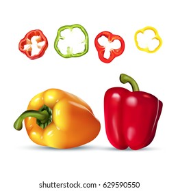 Vector realistic illustration of paprika. Colorful vegetables.
