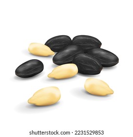 Vector realistic illustration of peeled and shelled sunflower seeds in bulk isolated on a white background with shadow