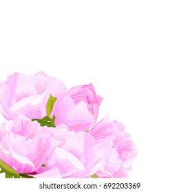 Vector realistic illustration of peony flowers on a white background with clipping mask. Greeting card with place for text.