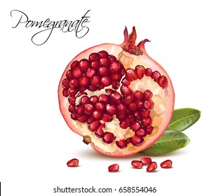 Vector realistic illustration of pomegranate fruit isolated on white background. 