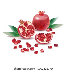 Vector realistic illustration of pomegranate,   on a lighte  background. Design elements for invitations, announcements, advertising of wine, juice, cosmetics, health products, agricultural fairs.