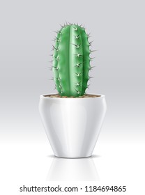 Vector realistic illustration of pot full of cactus cacti succulent plant mix isolated on white background