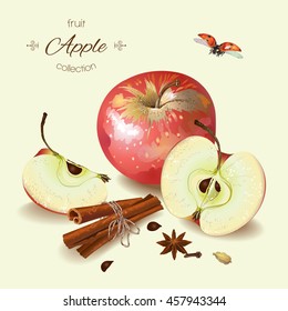 Vector realistic illustration of red apple with cinnamon. Isolated on light green background. Design for tea, ice cream, cosmetics, candy and bakery with apple filling, health care products.