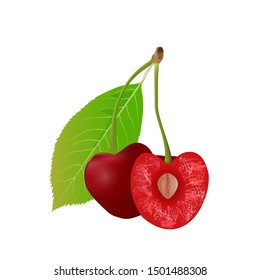 vector realistic illustration of a red cherry with leaves and hemisphere with a white background