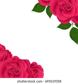 Vector realistic illustration of rose flowers on a white background with clipping mask. Greeting card with place for text.