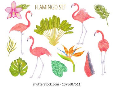 Vector realistic illustration set of pink flamingo bird with tropical leaves and flowers . 