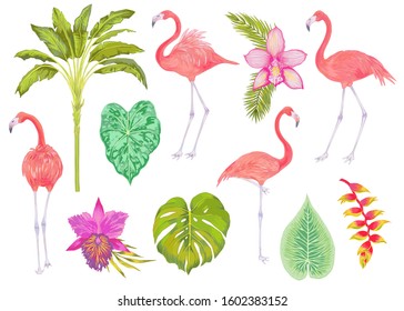 Vector realistic illustration set of pink flamingo bird with tropical leaves and flowers . 