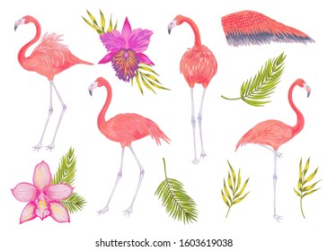 Vector realistic illustration set of pink flamingo bird with tropical leaves and flowers . 