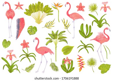 Vector realistic illustration set of pink flamingo bird with tropical leaves and flowers . 