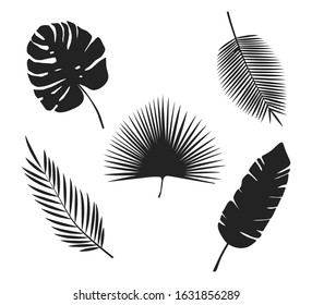 Vector realistic illustration set of tropical leaves isolated on white background.