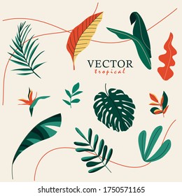 Vector realistic illustration set of tropical leaves and flowers isolated on a white background. Highly detailed colorful collection of plants. Botanical elements for cosmetics, Spa, cosmetics