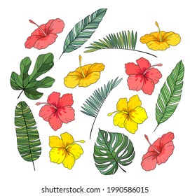 Vector realistic illustration set of tropical leaves and flowers isolated on white background. Highly detailed colorful plant collection. Botanical elements for banner, poster,card