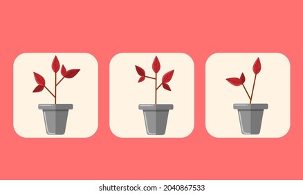 Vector realistic illustration set of tropical leaves and flowers isolated on white background. Highly detailed colorful plant collection. Botanical elements for cosmetics, spa, cosmetics