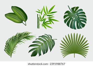 Vector realistic illustration set of tropical leaves and flowers isolated on white background. Colorful collection of plants. Botanical elements for cosmetics, spa, cosmetics