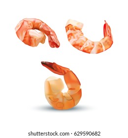 Vector realistic illustration of shrimps. Colorful seafood.