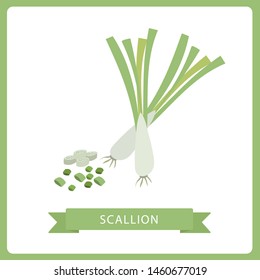 Vector realistic illustration of spring onion. Nature organic vegetable Scallion green onion, healthy vector colorful food vegetable spice ingredient.