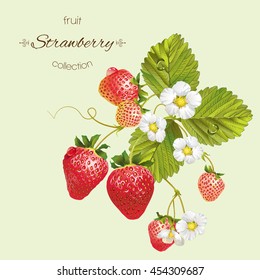 Vector realistic illustration of strawberry with leaves and flowers. Isolated on light green background. Design for grocery, farmers market, tea, natural cosmetics, aromatherapy,summer design element.