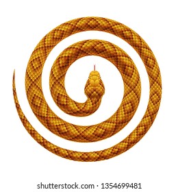 熱帯の蛇が渦巻き状に曲がったベクター画像のリアルなイラスト 白い背景にヘビが中央に頭を巻いている のベクター画像素材 ロイヤリティフリー