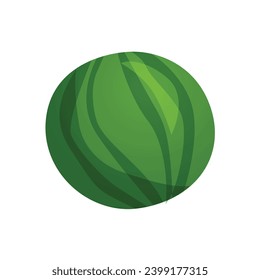 Vector realistic illustration of watermelon. dessert fruit concept.