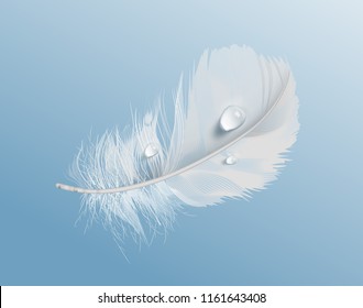 Vector realistic illustration of white airy soft bird feather with water drops isolated on blue background