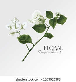 Vector realistic illustration of white  flowers. Design element for textile, cosmetics, perfume, beauty care products.