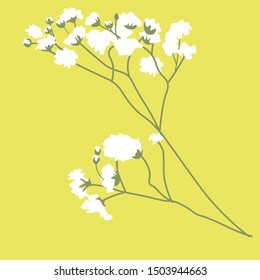 Vector realistic illustration of a white gypsophila flower. Isolated on yellow  field. For birthday, anniversary presents, gift cards, post cards. Wedding invitations.
